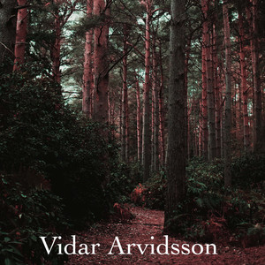 中文字幕亚洲视频
