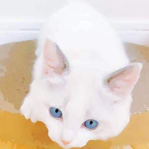 中文字幕亚洲视频
