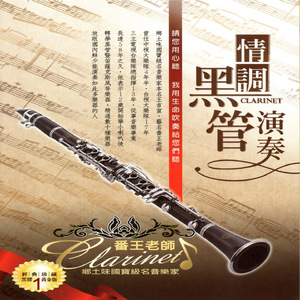 中文字幕亚洲视频
